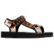 D' Franklin Forest